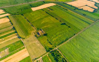 50 ha teren compact în Bujac - Poză 8