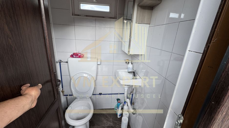 CASĂ 3 CAMERE 111MP, TEREN 923 MP BUGHEA DE JOS ARGEȘ - Poză 53