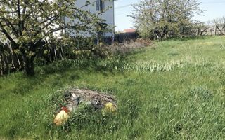 Teren intravilan de 1.680 mp în Miroslava, Strada Pădurii nr. 11 – utilități la proprietate - Poză 7