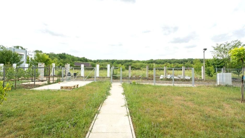 Casa 5 camere | Padure | Snagov-Ciofliceni - Poză 17