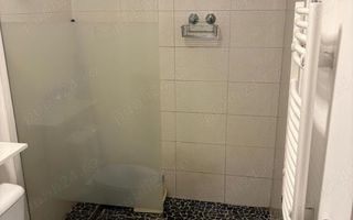 Garsoniera cu curte proprie (50 mp), zona Sincai parc Tineretului S248 - Poză 4