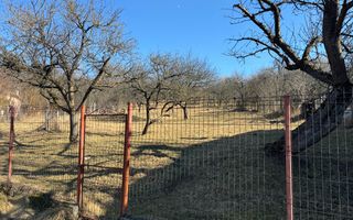 TEREN INTRAVILAN 3400 MP, VOINESTI, LERESTI - Poză 4