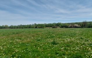 Teren de vanzare intravilan 5000 m2 Cisnadie zona SOMA