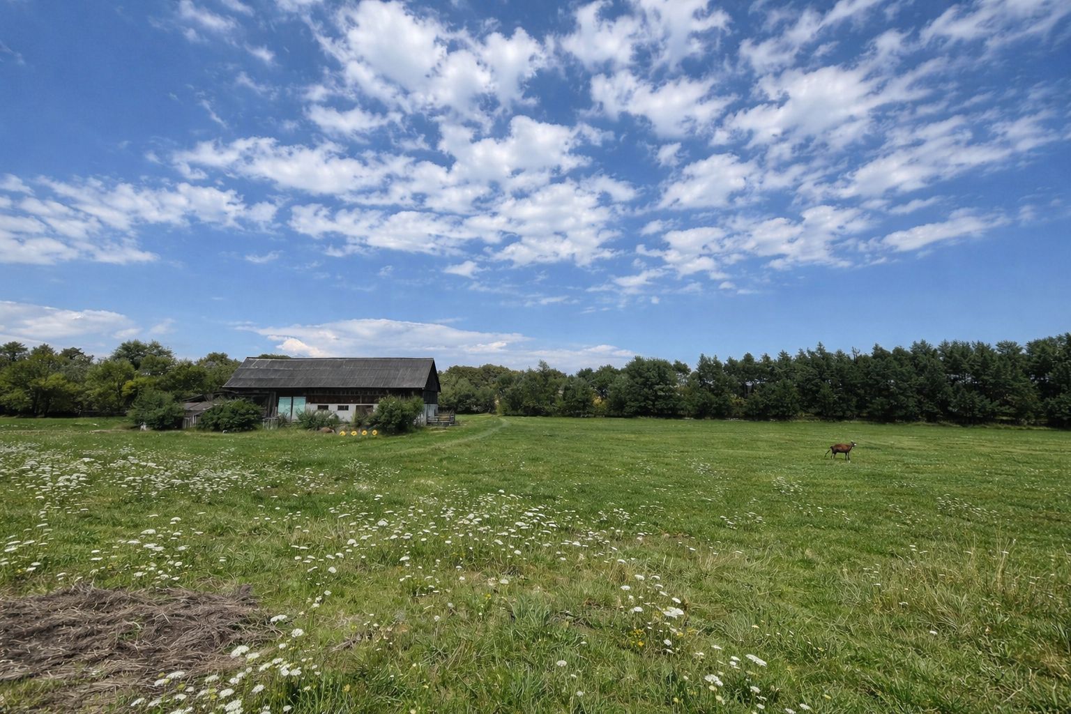 Teren extravilan | Horodnic De Sus | 3600MP - Poză 1