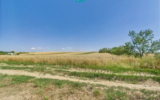 Teren intravilan + extravilan în Remetea Mică - Poză 6