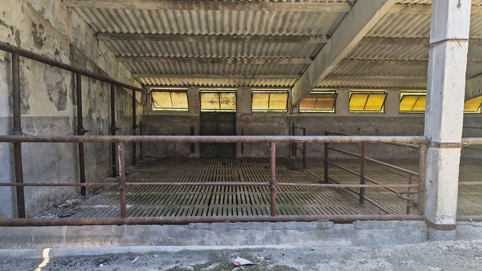 Spațiu industrial -fermă Orțișoara - Poză 5