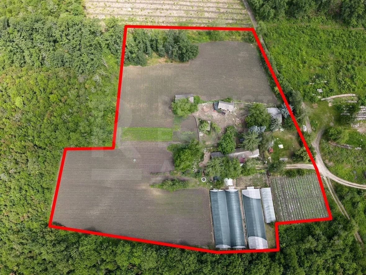 Vânzare, teren, 1.74 ha, satul Bilicenii Noi, raionul Sîngerei - Poză 7