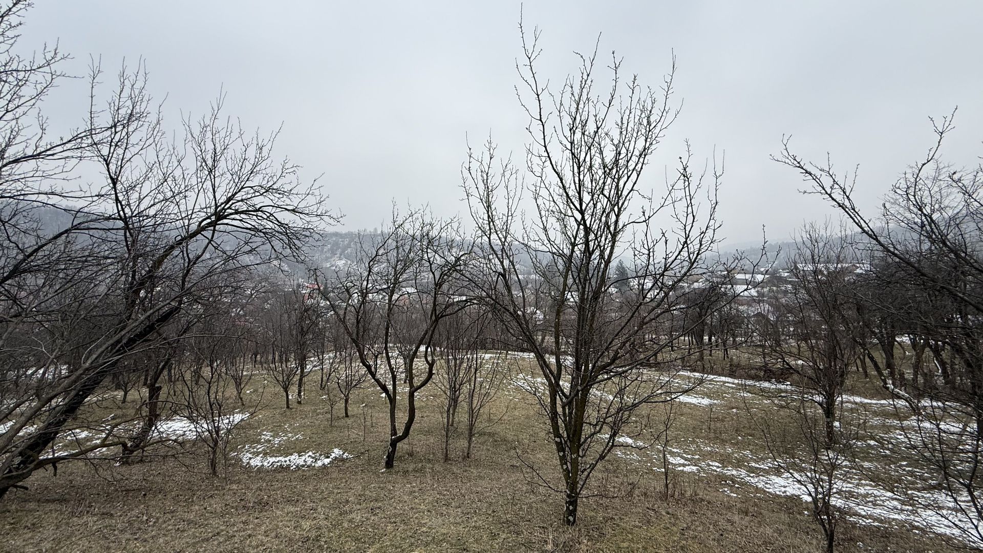 Teren 4652 mp cu izvor pe el, Lunca Mare, lângă păstrăvăria Doftana - Poză 14