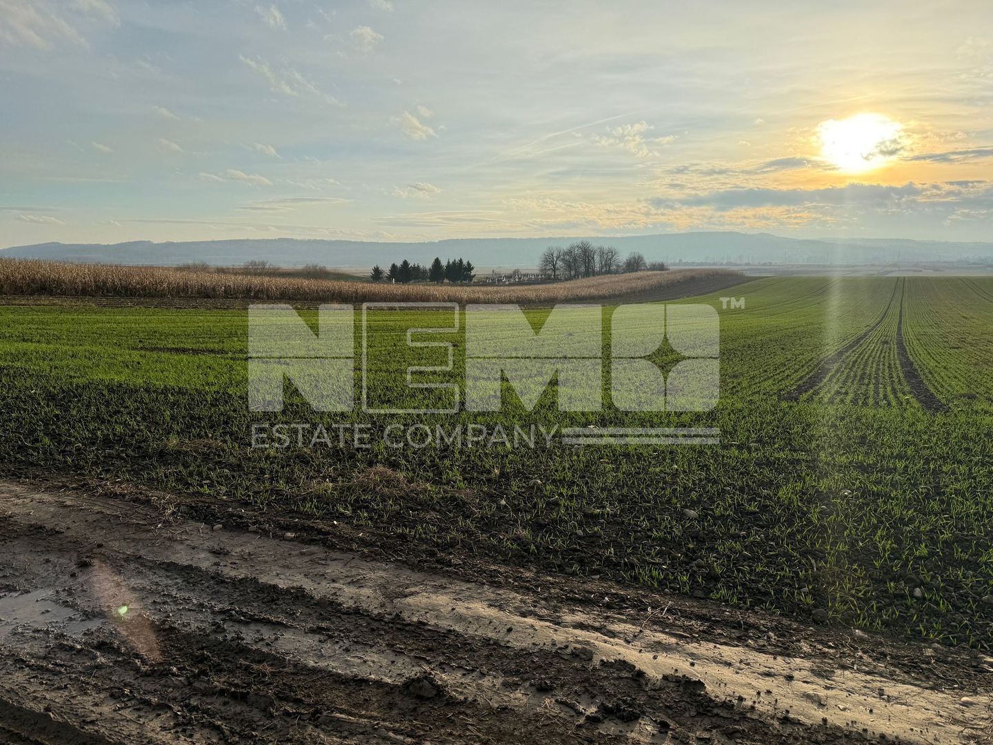 TEREN EXTRAVILAN | E85 | 126.000EURO NEGOCIABIL | - Poză 5