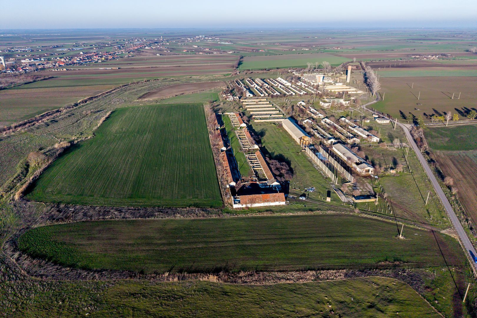 NĂDLAC | Teren 1.15 HA lângă Autostradă | 2.500mp Hale - Poză 2