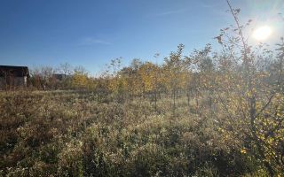 Teren intravilan de vanzare | 12.650 mp | Ghirdoveni, | COMISION 0% - Poză 12