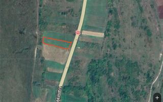 Teren extravilan de vânzare | Cârțișoara | 1800 mp - Poză 7