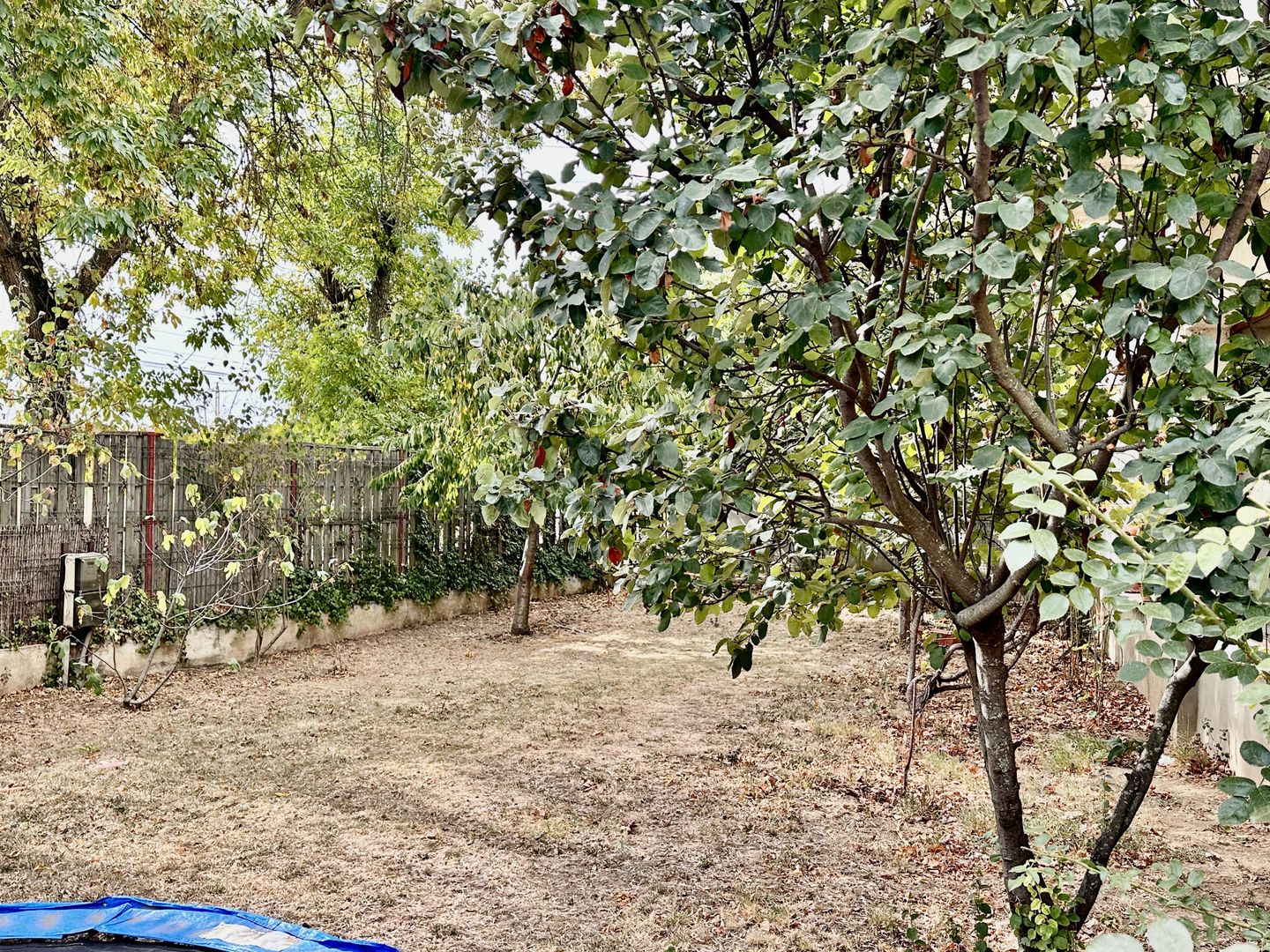 Vila Cineastului | Pipera | Drumul Bisericii | Comision 0 - Poză 18