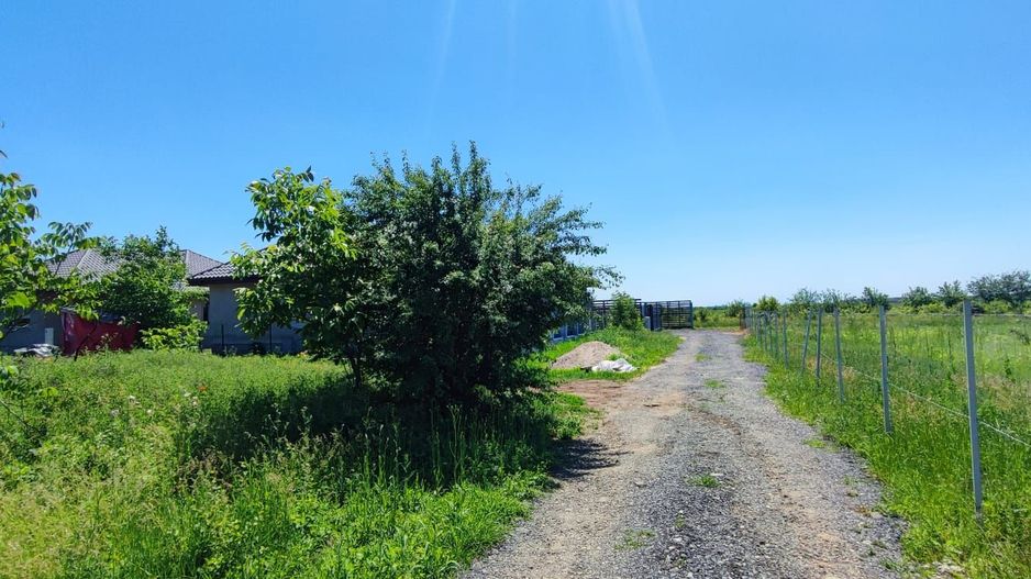 Lot pentru două case – Corbeanca Tamași - Poză 14