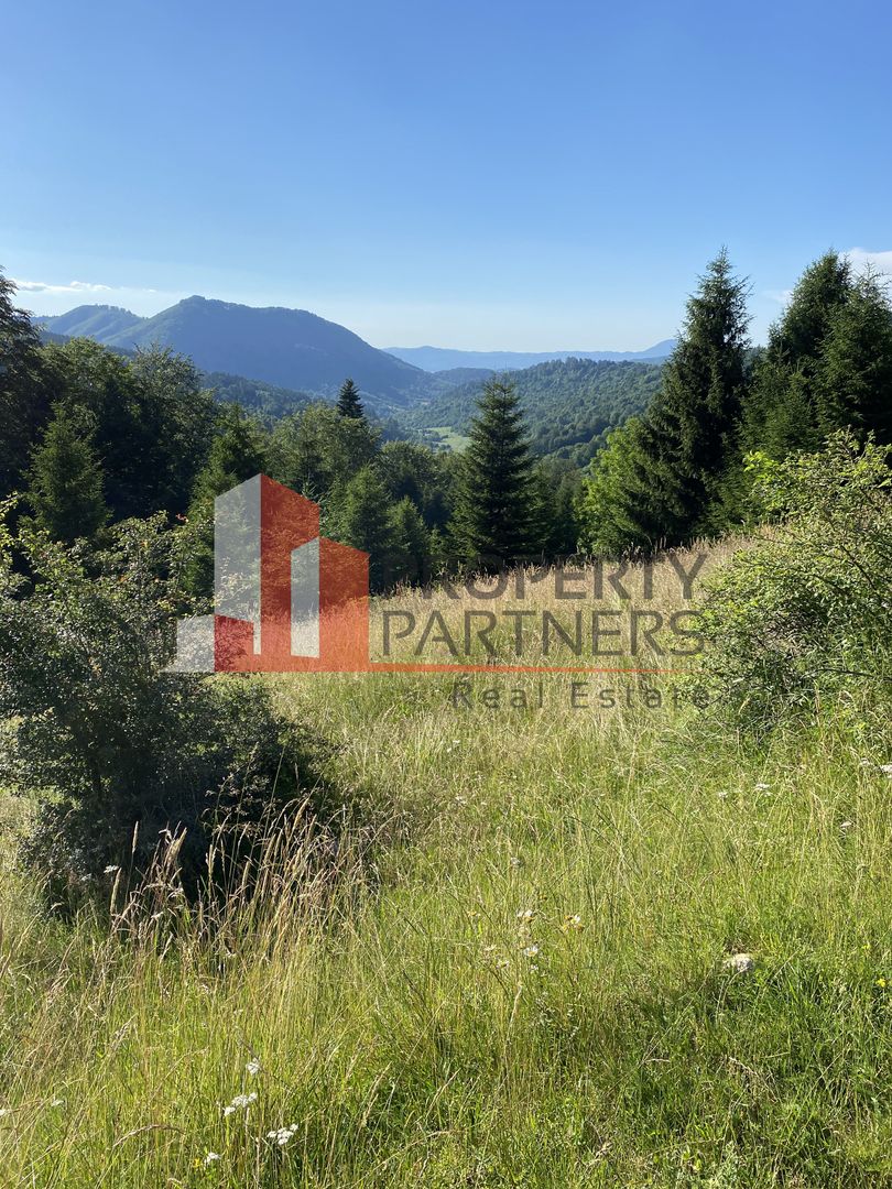 Teren 14400 mp la iesire din Rasnov inspre Pârâul Rece-Trei Brazi - Poză 2