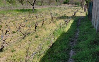 Teren intravilan 3.250 mp în Filești – Ideal pentru casă sau investiție! - Poză 8