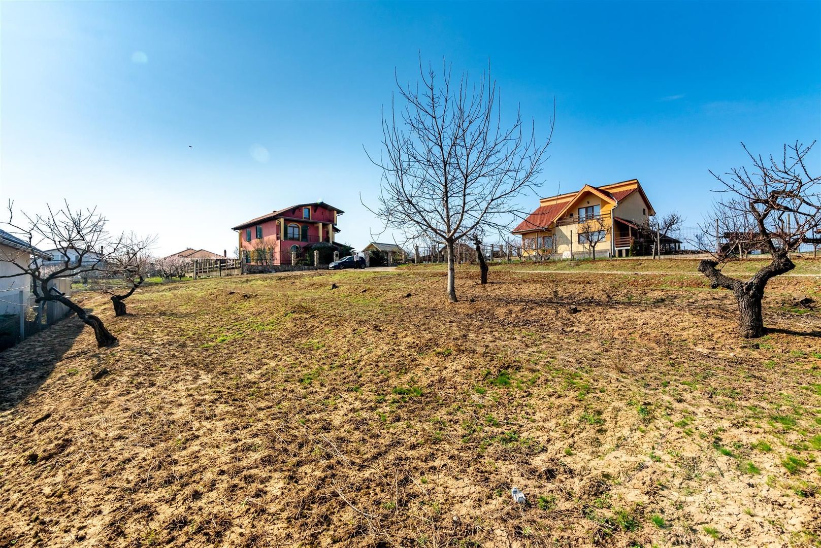 Teren intravilan Paleu - Poză 2