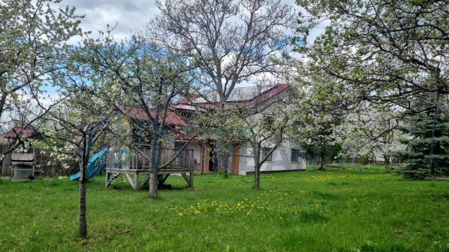 Casă de vânzare în Bucium, zona Plopii Fără Soț, Iași – 140 mp, teren 1.000 mp - Poză 3
