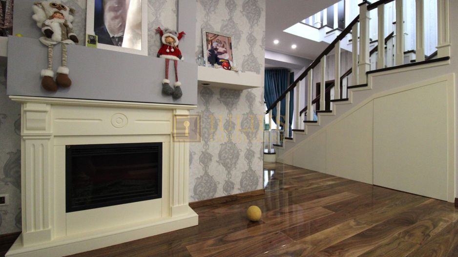 Sat Giroc, ideal pentru diverse afaceri sau pentru locuit. - Poză 9