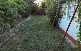 Casă și teren 2177 mp Ortisoara -28ml front-comision 0 - Poză 13
