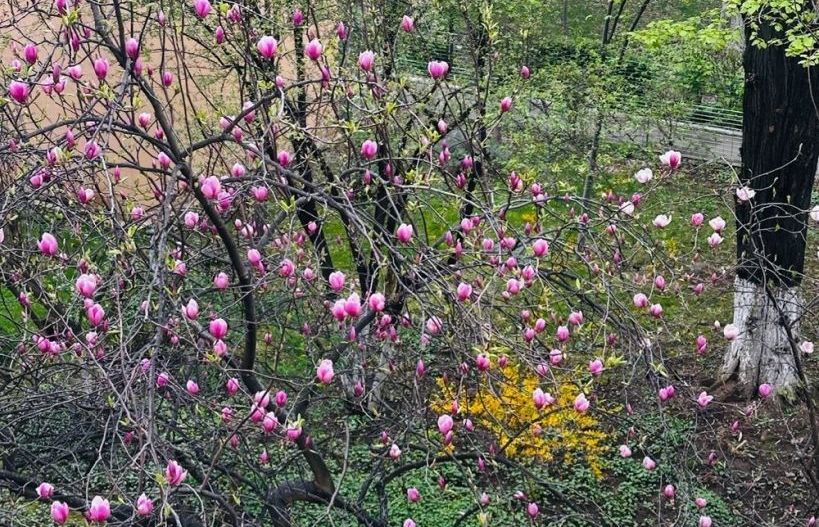 Comision 0% Apartament de 3 camere -Constantin Brancoveanu - Poză 8