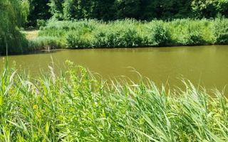 Teren 900 mp cu cota Lac-ideal pescuit, agrement, cabana- Saratel - Poză 1