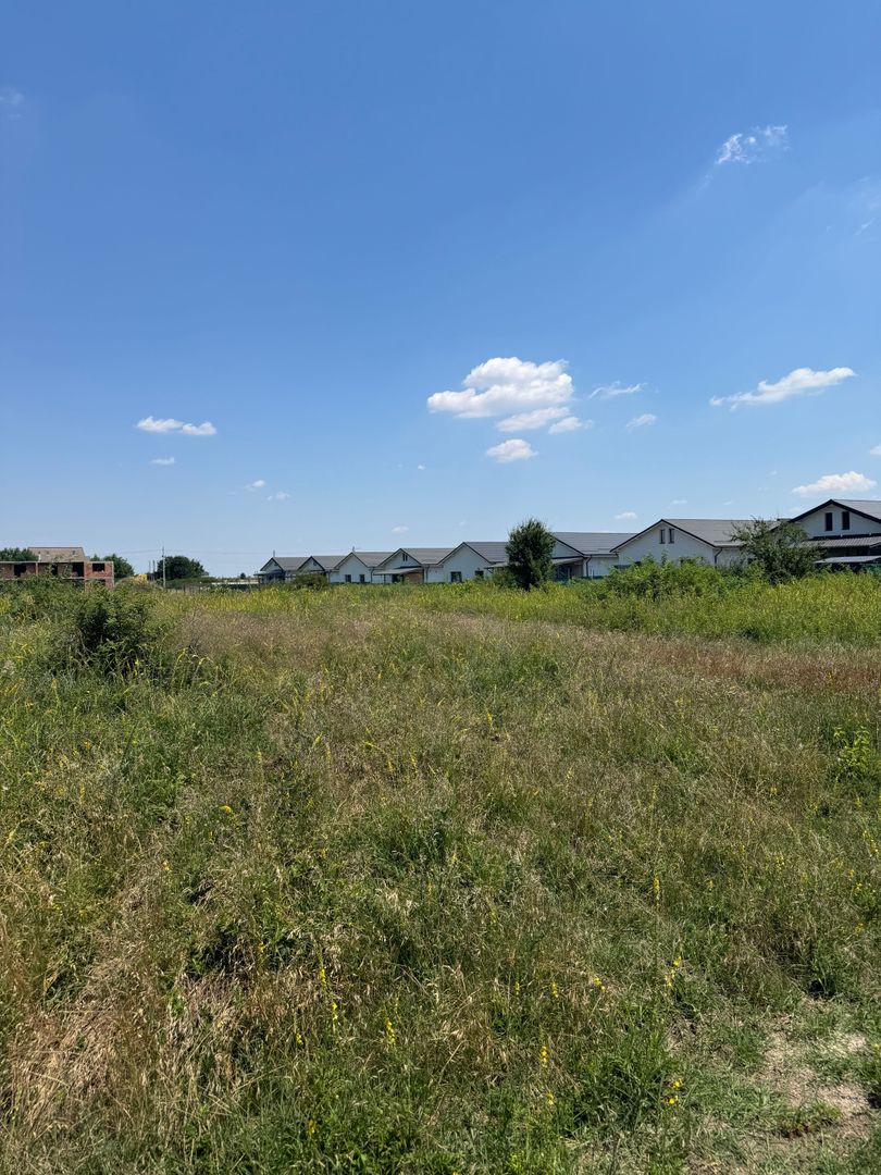 Domnesti - Strada Salciei - Teren intravilan 500 mp x 2 loturi - Poză 2