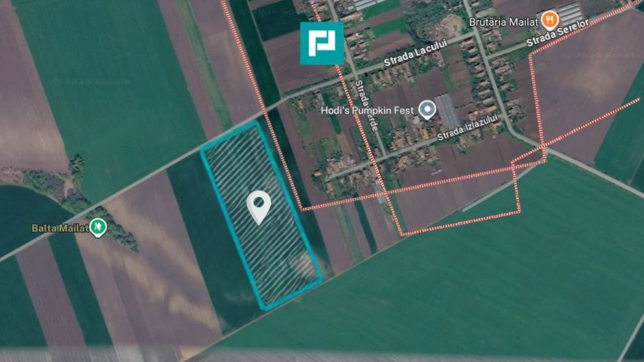 Teren de 8600 Mp2, agricol extravilan, Mailat - Poză 1