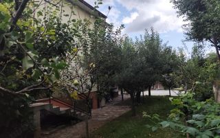 Zonă deosebită, oportunitate de investiție casă individuala in Gruia - Poză 6