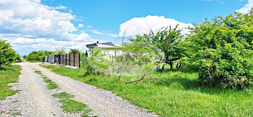 Sanpetru, str Nucului teren de 1290mp pret 42 euro/mp - Poză 6