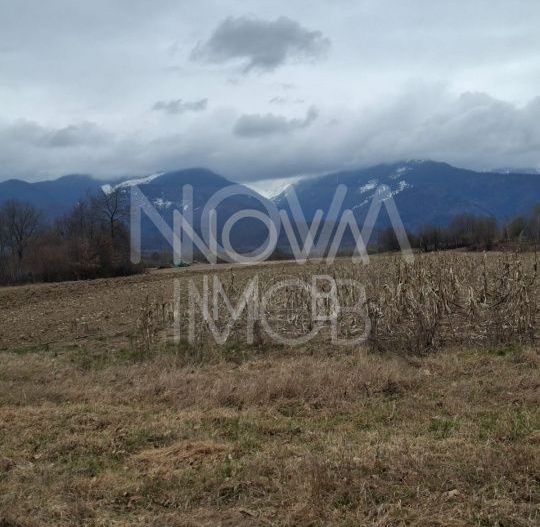 Teren extravilan de vanzare - Arpasul de Sus - Poză 7