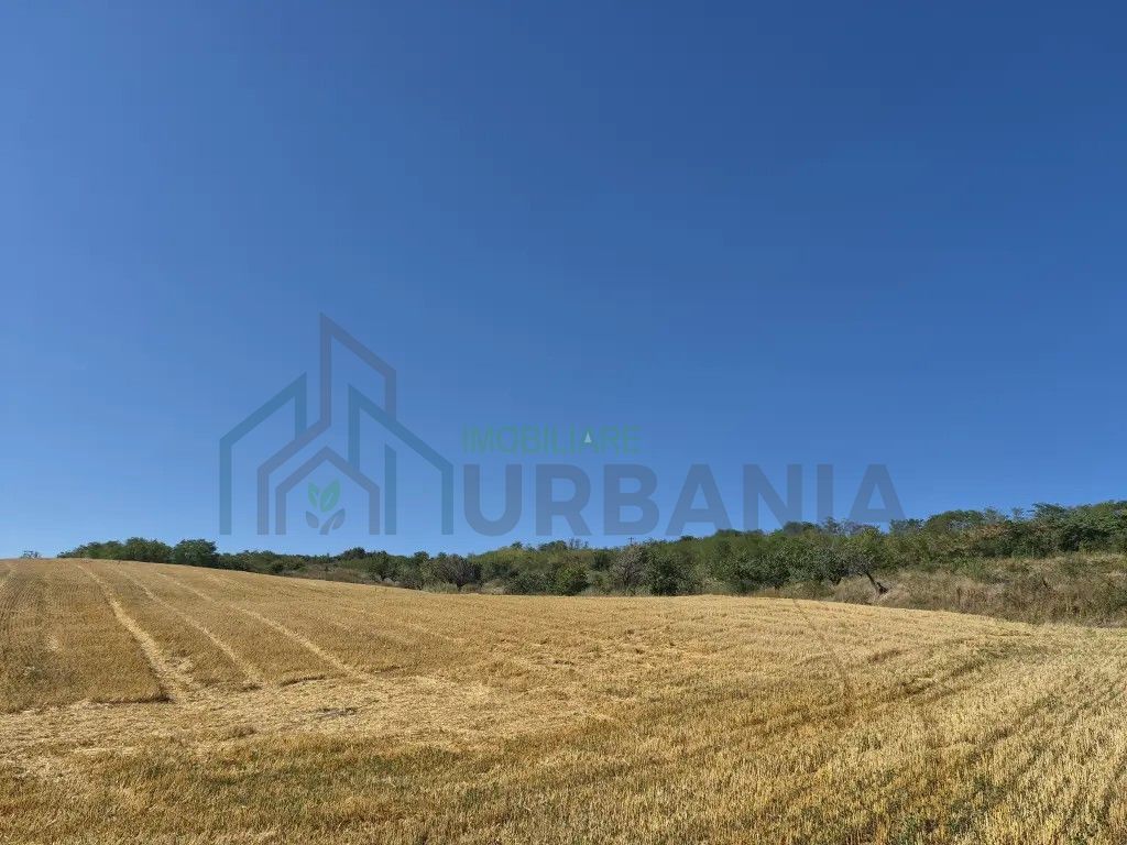 Teren intravilan de vanzare in Raducaneni - 15.000 EUR - Poză 3