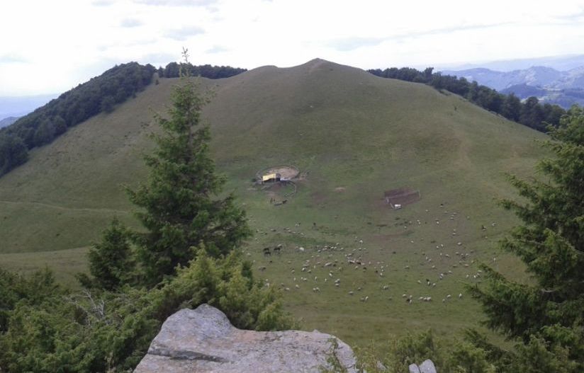 Teren extravilan pasune 270.000 mp Bertea Prahova - Poză 1