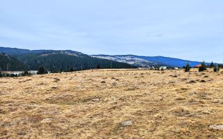 TEREN CU VEDERE LA LAC, 5959 MP Statiunea Turistica Montana BELIS-CLUJ - Poză 4