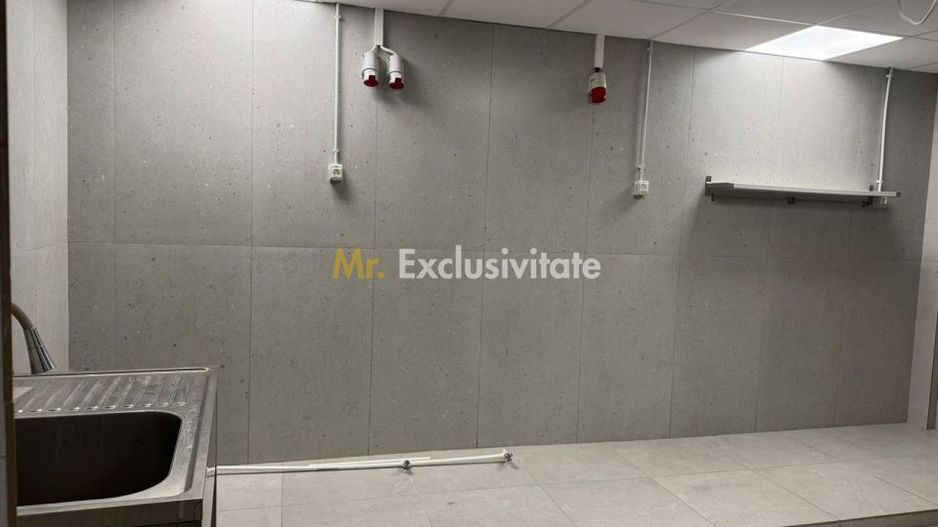 Spatiu Comercial 336 mp - Ultracentral, Piata Victoriei (Investitie) - Poză 3