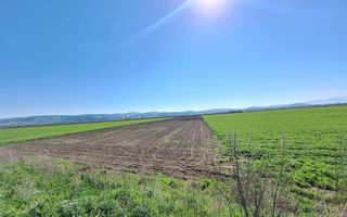 Teren de 8700 mp - extravilan - Bod, Brasov - Poză 4