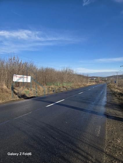 Vânzare teren Poieni Iasi 15.000 mp sau parcelat - Poză 5