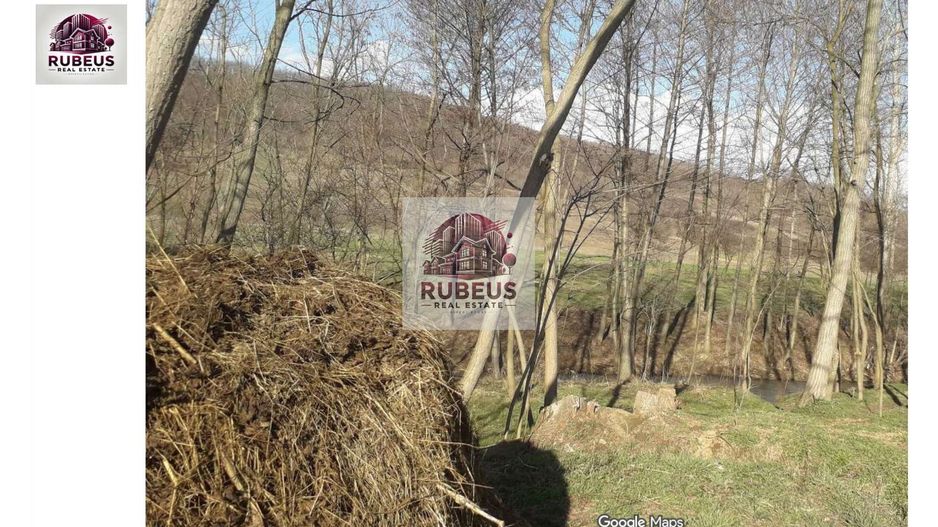 Oportunitate rară! 1 ha pădure Corcova – teren cu potențial real - Poză 5