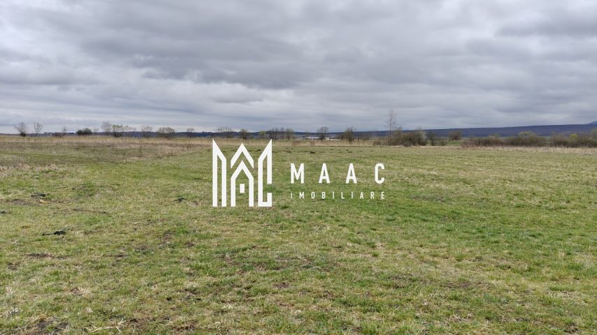 Teren extravilan I 2400 mp I Arabil I Teren drept I Cristian - Poză 3
