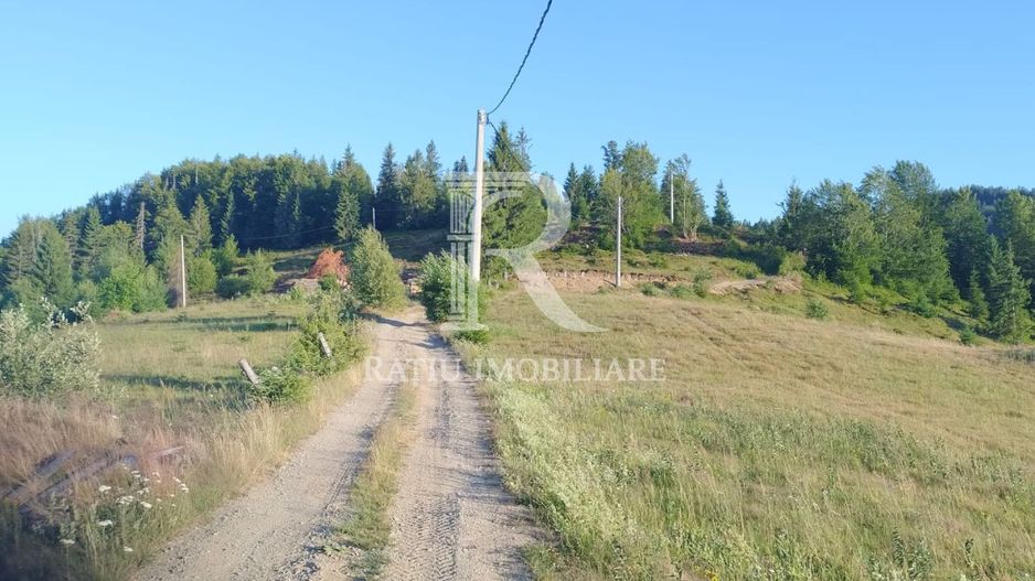 Teren Intravilan | 3.000 mp | Gârda de Sus | Alba | - Poză 3