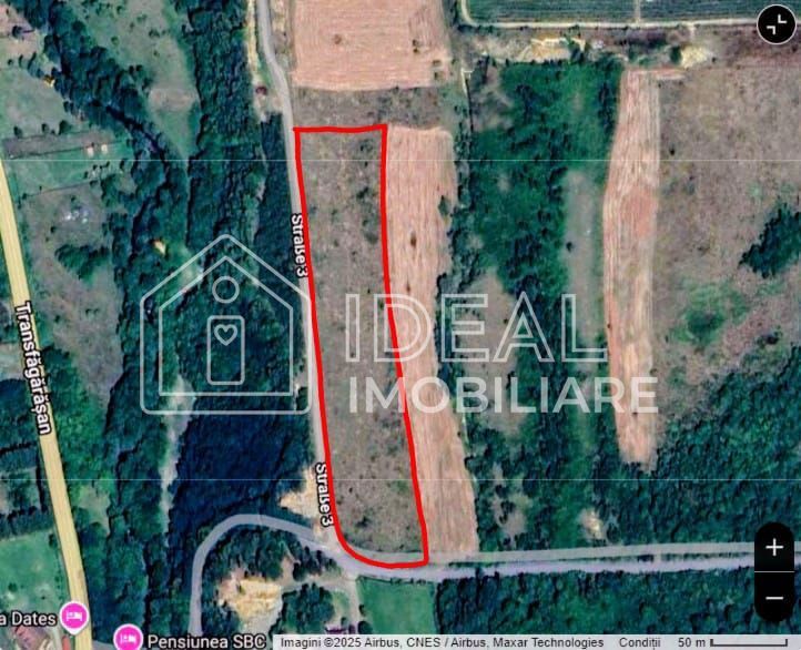 Teren extravilan 6.500 mp – Cârțișoara | Comision 0% - Poză 8