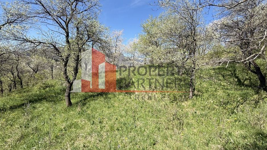 Teren 2500 mp Sohodol - Poză 10