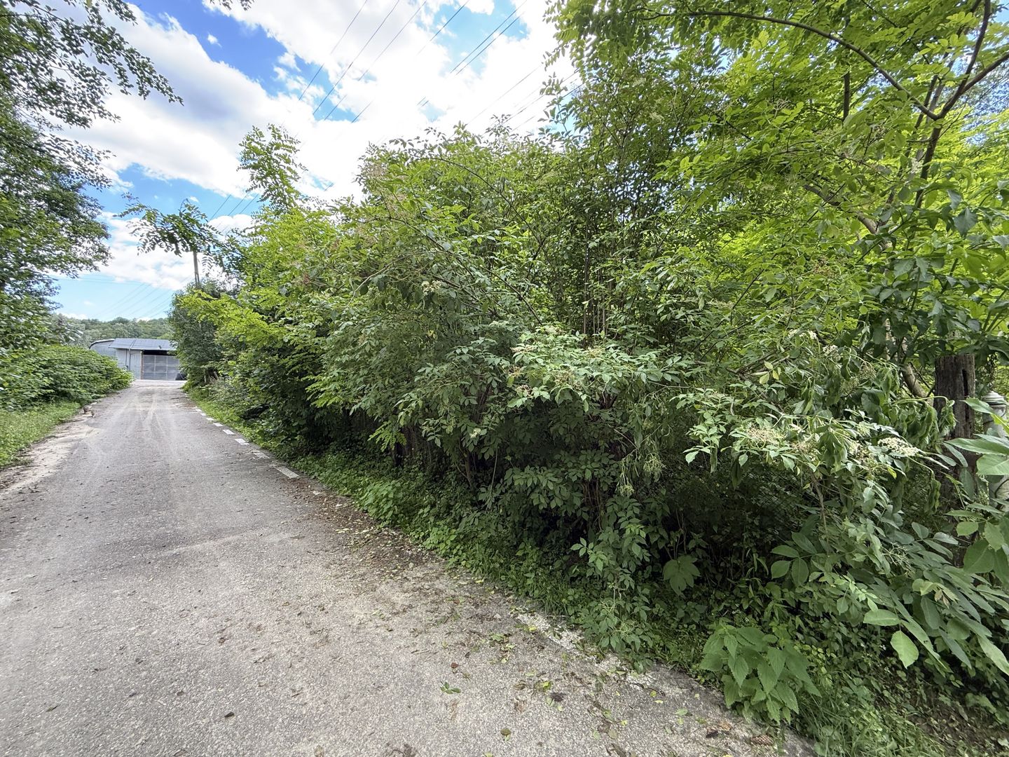 Teren intravilan 683 mp deschidere la strada asfaltata ! - Poză 4