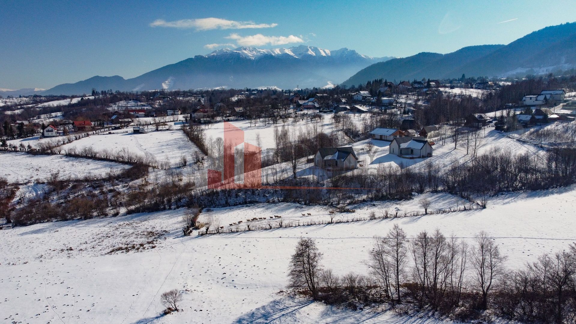 Case de vanzare Bran Tohanita - Poză 5