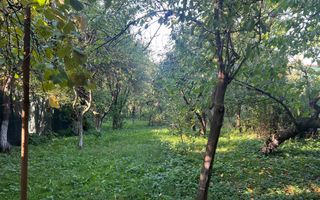 Casa individuala, 70mp, moderna,  petfriendly, zona Stadion CFR - Poză 14