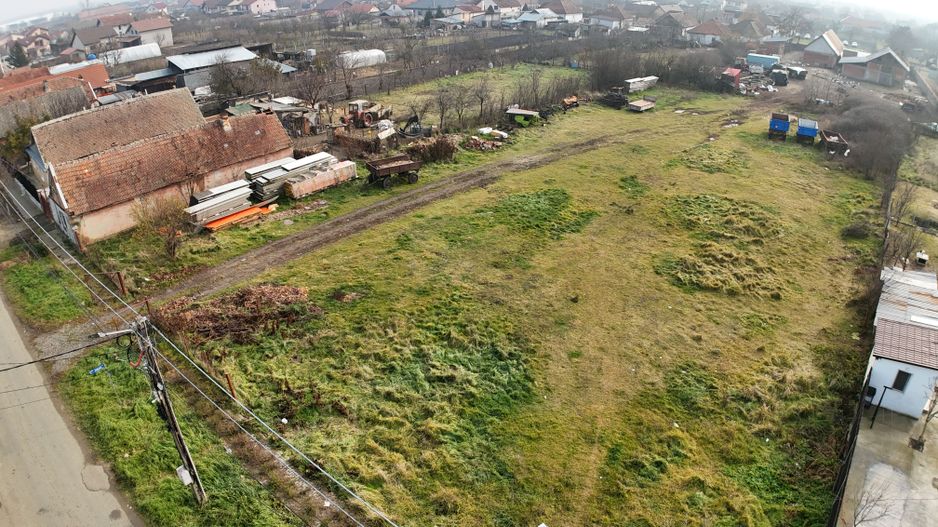 3300 mp  de vânzare in vatra veche Remetea Mare , Timiș - Poză 1