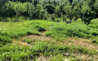 Casa 3 camere + dependinte (bucatarie de vara/magazie) + teren 1400 mp, Str.Zimbrului - Poză 1