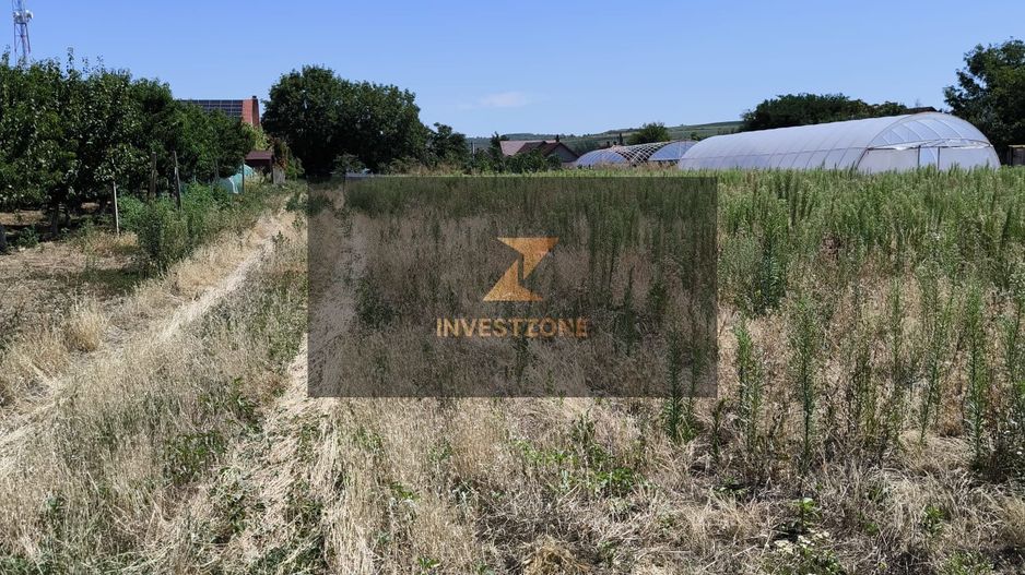 Teren intravilan Biharia 11058 mp - Poză 1