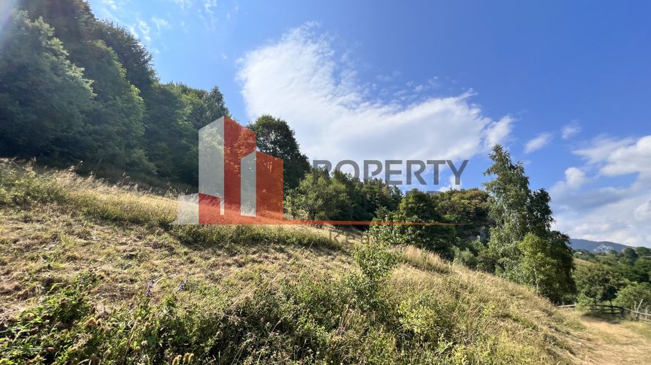 Teren de vânzare langa  Peștera Liliecilor  in Sat Pestera - Poză 11