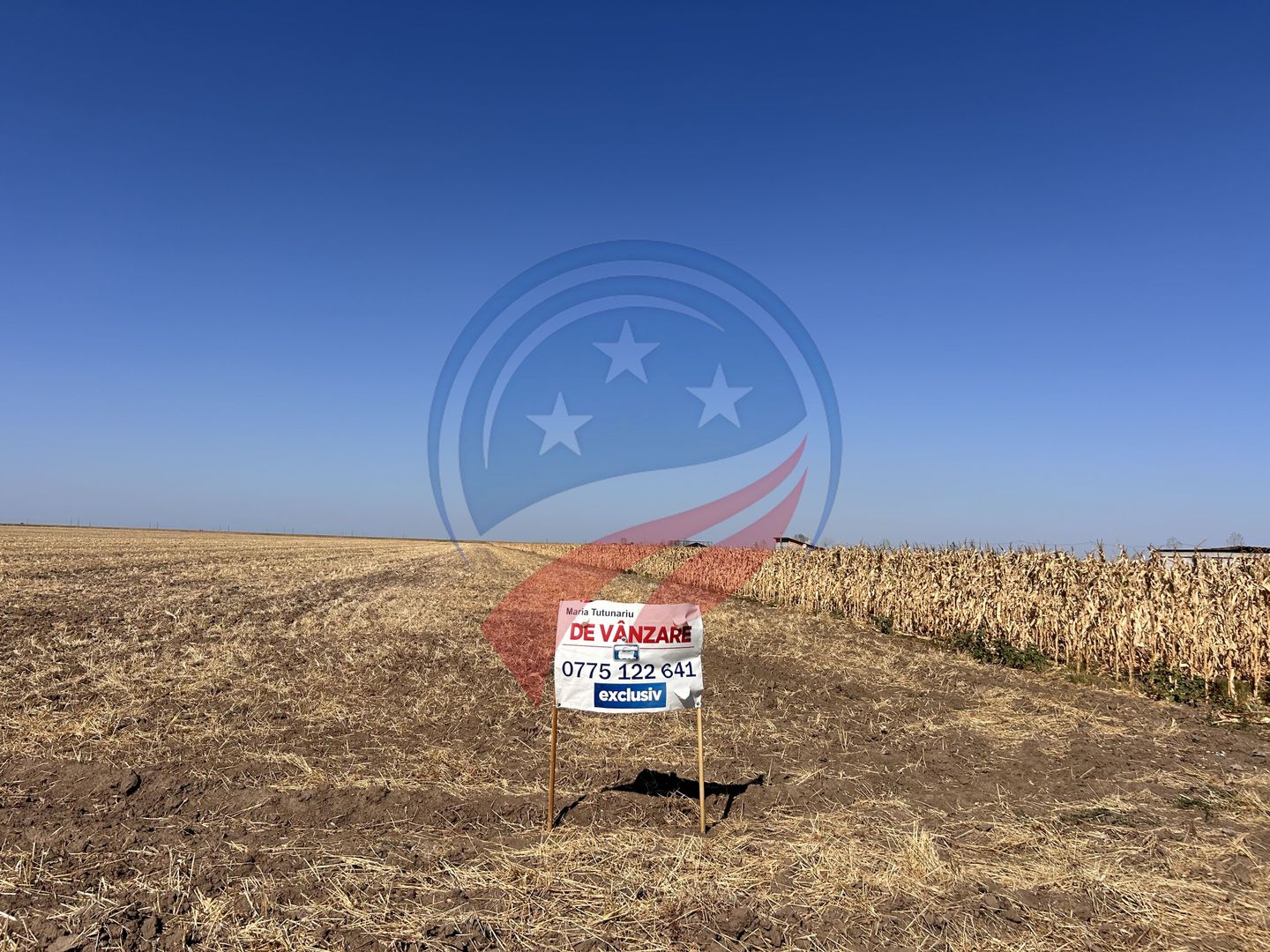 Teren intravilan de vanzare in Pielesti - Poză 1